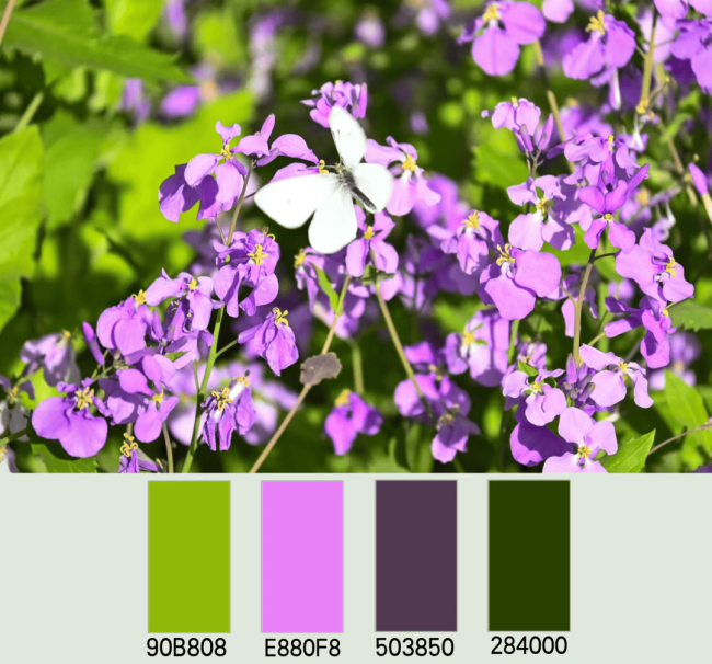 qt qcolor 设置颜色值_qcolor颜色值转为int_颜色的设置