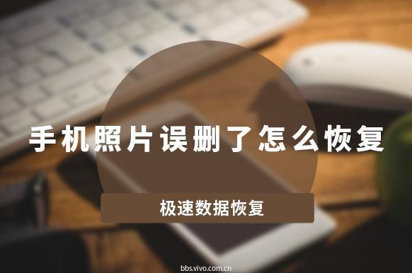 vivo手机寻回下载_vivo软件恢复软件_vivo数据恢复软件下载