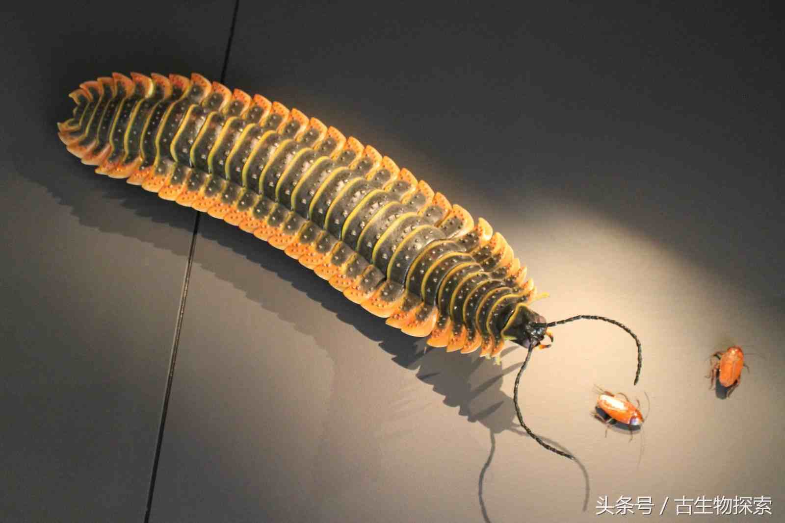 什么是电子邮件攻击_电子邮件攻击的原理_电子邮件炸弹攻击