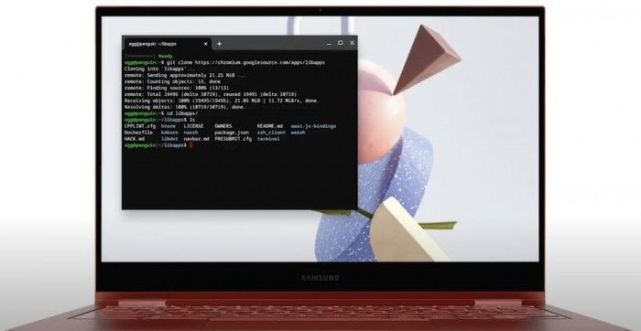 chrome os 应用-ChromeOS 应用：轻巧、快速、省心，兼容性超棒