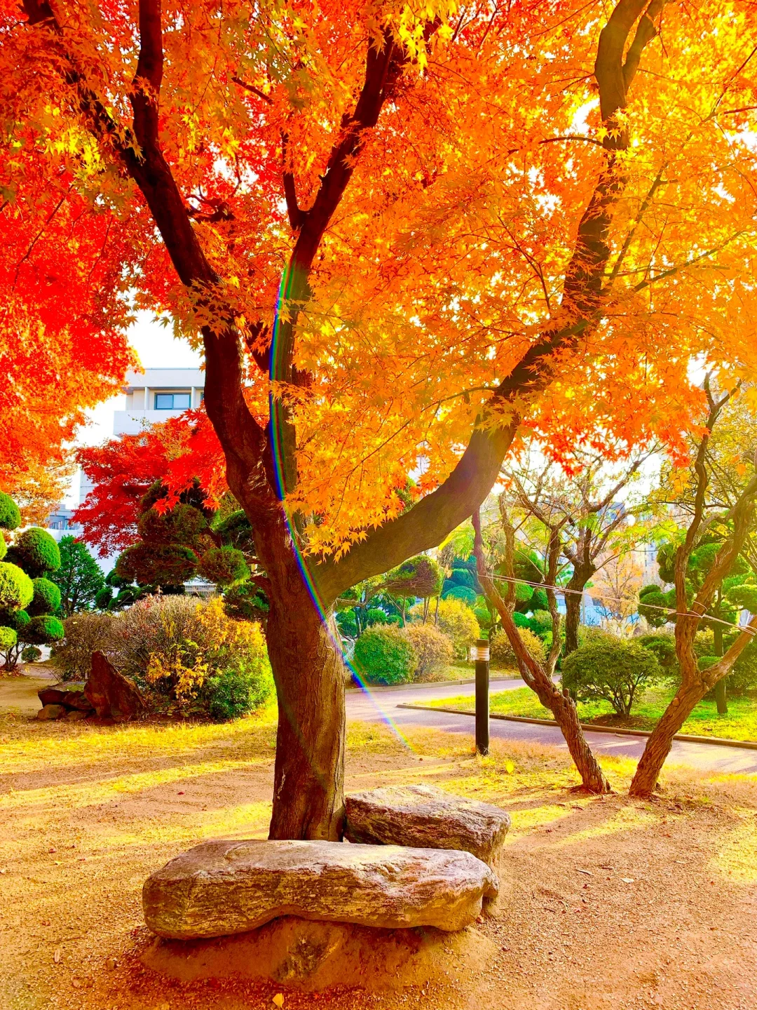 breeze广告_breeze是什么意思_泰国洗衣液breeze广告
