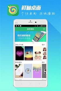 鲜柚安卓系统,体验升级