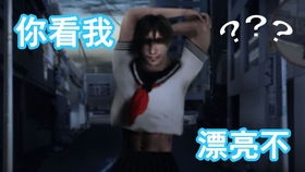 阿枫游戏,打造休闲益智新体验