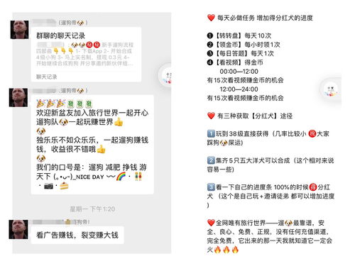 养猪遛狗游戏