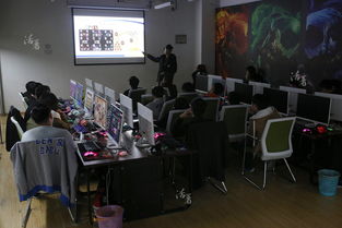 游戏培训图片,探索互动学习新视角