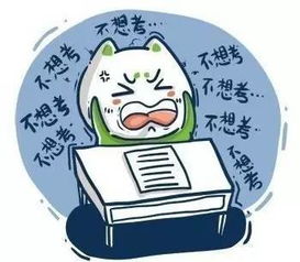 考试是游戏,探索创新教育模式与互动体验