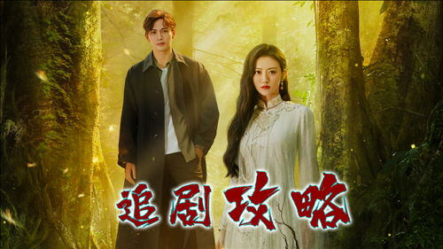 追剧游戏,一场追剧与游戏的奇幻之旅
