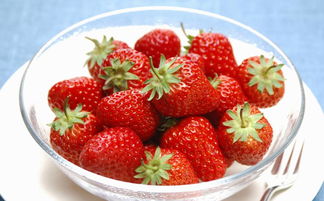 游戏草莓菌,探索神秘菌类世界