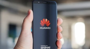 华为暂停支持安卓系统,探索新生态系统的未来之路