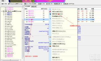 安卓系统占运行空间,运行空间优化与空间管理策略解析
