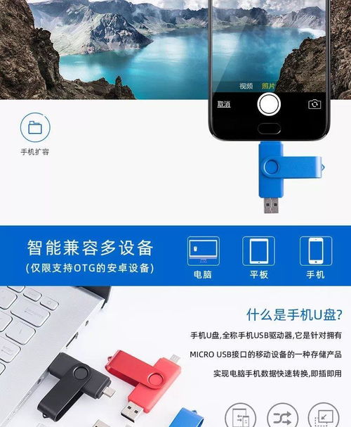 u盘安卓系统车载,打造个性化移动娱乐新体验