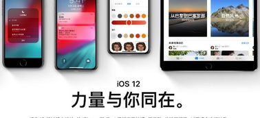 ios系统与安卓区别,系统差异深度解析