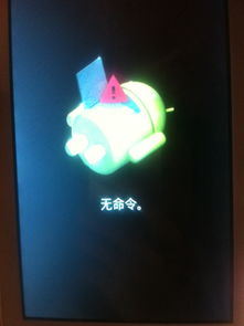 安卓系统有没有白鸟,白鸟技术的创新与突破