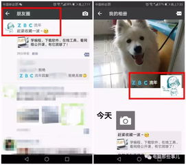动态昵称安卓系统设置,个性化与趣味并存