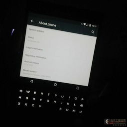 黑莓安卓系统权限获取,揭秘系统安全与隐私保护之道