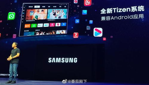 tizen系统装安卓app,跨平台应用部署攻略