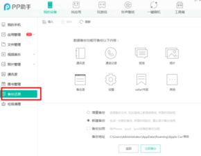 拍安卓苹果系统送花,安卓与苹果用户共赏花海盛宴