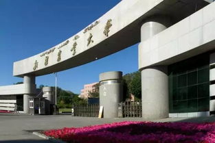 新疆和校园安卓系统,安卓系统下的智慧融合