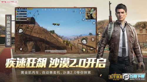 和平精英安卓辅助系统,功能解析与使用技巧