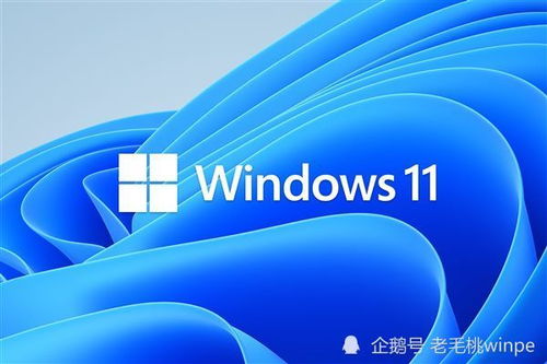 华为电脑安卓win系统,畅享智能办公体验