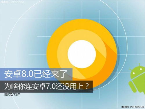 安卓系统的最大缺陷,揭秘最大缺陷与挑战