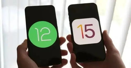ios与安卓系统生态,系统生态的全面对比解析