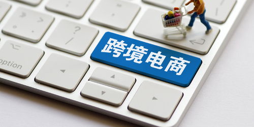 极兔刷安卓系统,探索新一代物流科技的魅力