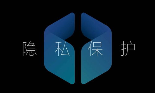安卓系统遮羞布,隐私保护与安全性的双重挑战