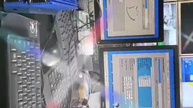 车载安卓系统盒子测评,性能与体验全面解析