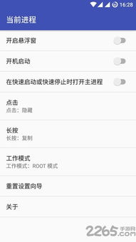 安卓系统查看进程权限,Android系统进程权限解析与查看指南
