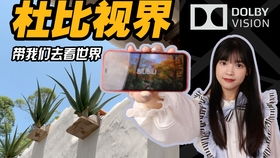 玩家国度手机安卓系统,解锁无限可能