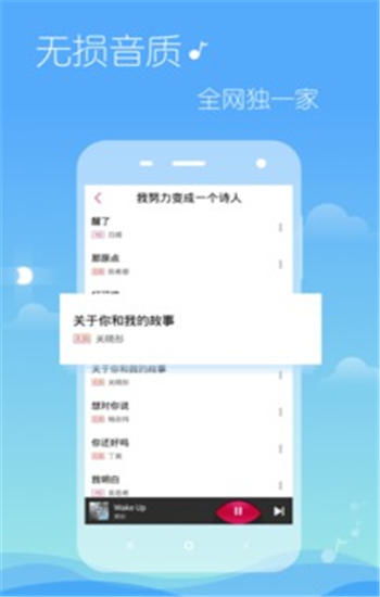 多米音乐在安卓系统,打造个性化音乐体验