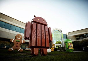 安卓系统数据占用多,数据占用背后的真相与优化策略